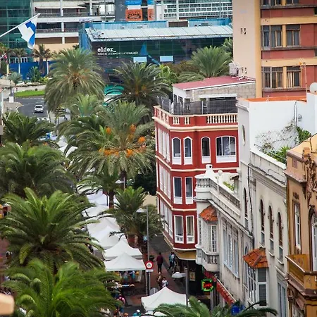 Palmas
