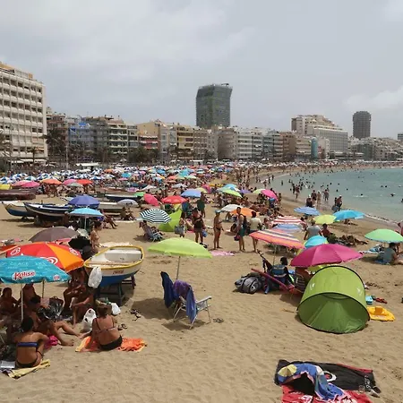 Palmas